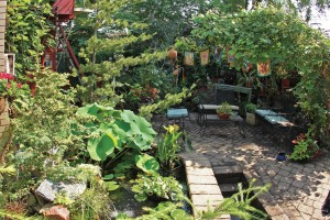 101_Page_1_Image_0003